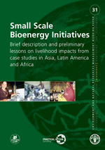 Small Scale Bioenergy Initiatives