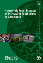 Household level impacts of increasing food prices in Cambodia