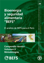 Bioenerga y seguridad alimentaria “BEFS”