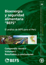 Bioenerga y seguridad alimentaria BEFS
