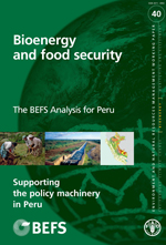 Bioenergía y seguridad alimentaria “BEFS”