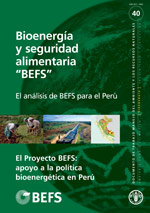 Bioenerga y seguridad alimentaria BEFS
