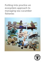 Putting into practice an ecosystem approach to managing sea cucumber fisheries