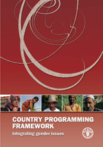 Country programming framework