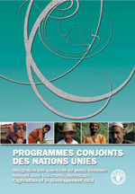 Programmes conjoints des Nations Unies