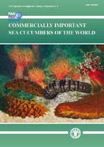 FAO Species Catalogue for Fishery Purposes No. 6. Commercially important sea cucumbers of the world