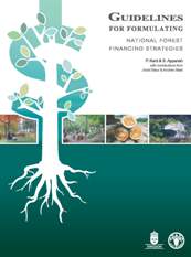 Guidelines for formulating national forest financing strategies