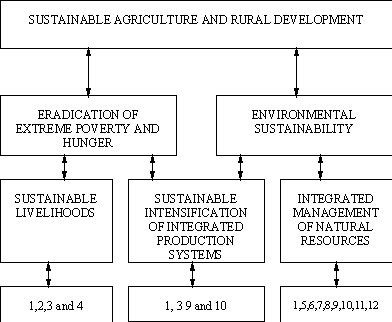 Undisplayed Graphic