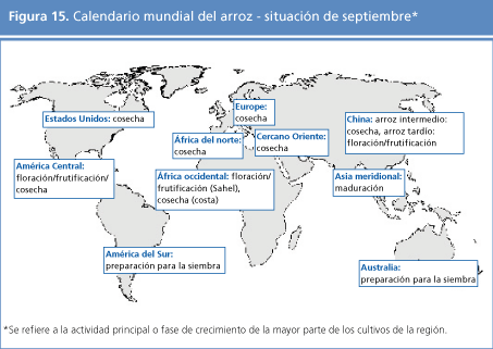 perspectivas alimentarias