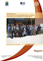 Workshop on Forest Fires in the Mediterranean Region: Prevention and Regional Cooperation - Report