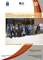 Workshop on Forest Fires in the Mediterranean Region: Prevention and Regional Cooperation - Report