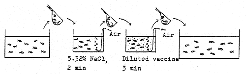 Fig. 13