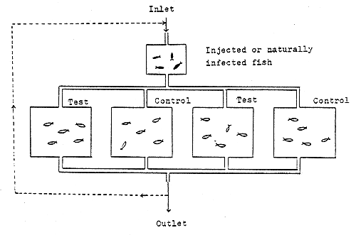 Fig. 15