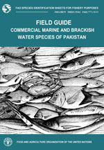 FAO species identification sheets for fishery purposes. Field guide to the commercial marine andbrackish-water species of Pakistan. 