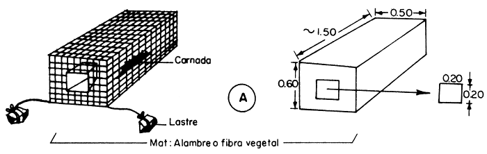 Figura 30. A