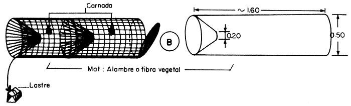 Figura 30. B