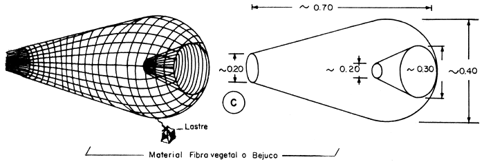 Figura 30. C