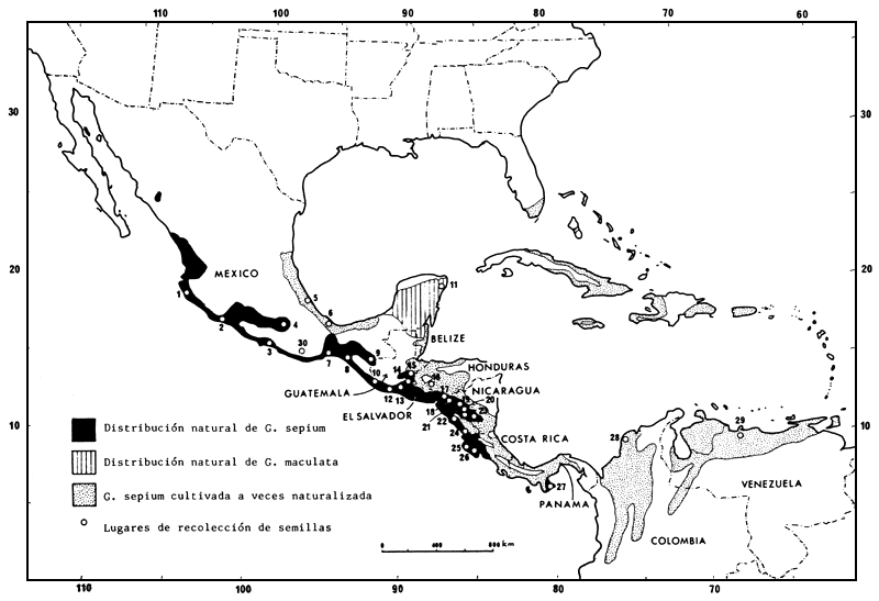 MAPA 1