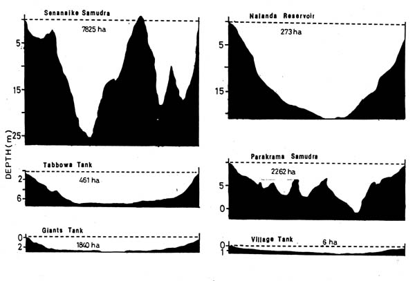 Fig.8.