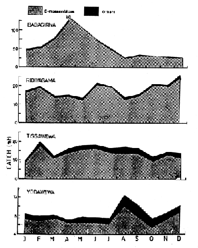 Fig.15.