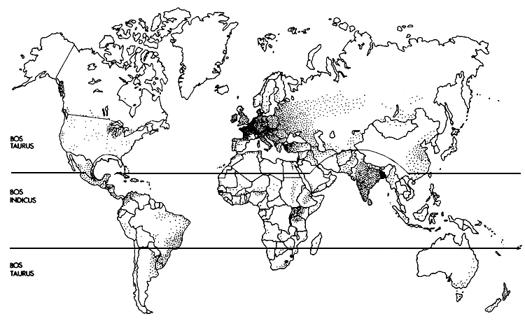 Figure 1.1