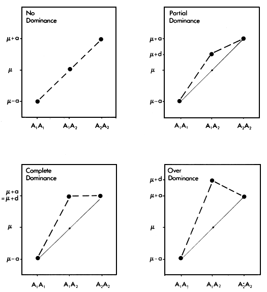 Figure 2.2