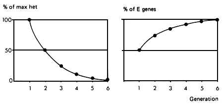 Figure 3.1