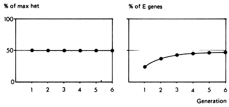 Figure 3.3