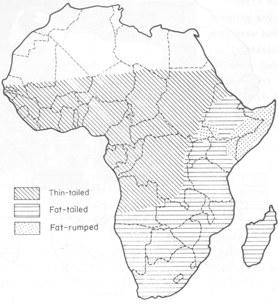 Small ruminant production and the small ruminant genetic resource in tropical Africa