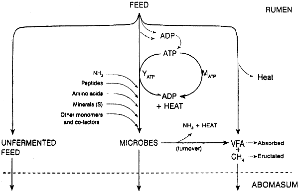 Figure 3.1