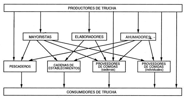 Figura 2.5