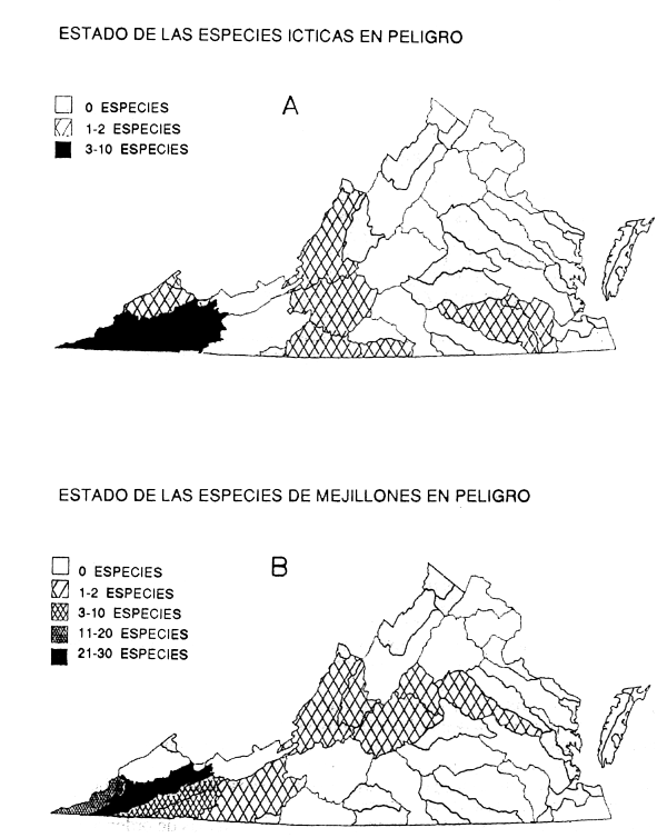 Figura 7.25