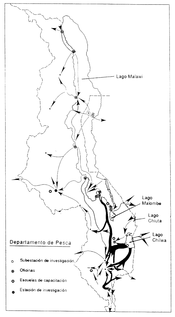 Figura 5.8