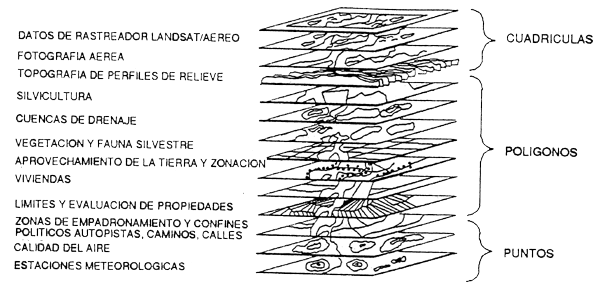 Figura 6.6