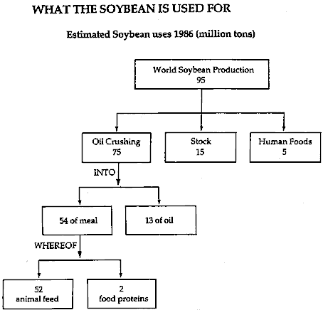Figure 5: Main Routes of Soybean Utilization