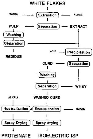 Figure 30: Isolated Soybean Protein. Production Process Outline