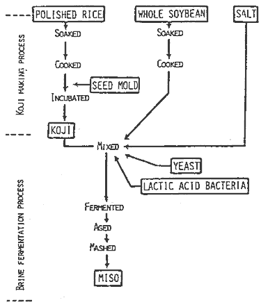 Figure 43: Flow diagram for Miso </b><strong>production Source: Fukushima (1981)