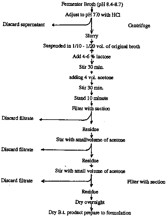 Using the lactose-acetone technique (after Dulmage et al., 1970)