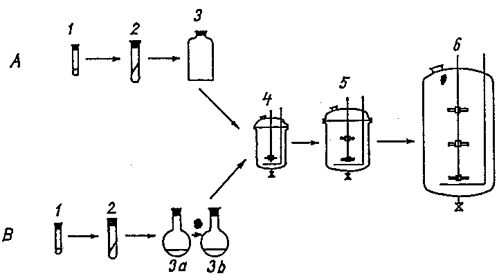 Fig. 1.1 Preparation of a Microbial Product