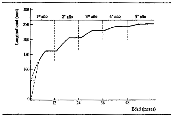 Figura 6.7