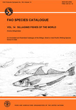FAO species catalogue. Vol.14. Sillaginid fishes of the world (Family Sillaginidae). An Annotated and Illustrated Catalogue of the Sillago, Smelt or Indo-Pacific Whiting Species Known to Date