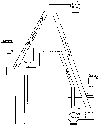 Figure 48: Continuous Hydration of Dates