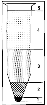 Figure 76: Centrifuged Date Solution