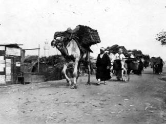 Figure 89a: Examples of Crates. a. On Camel's Back