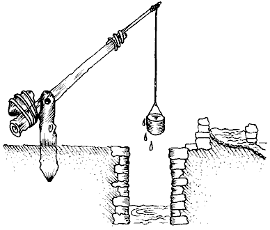 Figure 1: (a) Rural Date Orchard (b) Note waterlifting from shallow well