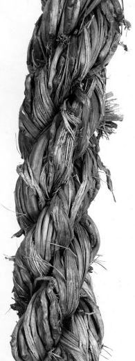 Figure 97: Heavy Rope made from Shredded Date Palm Fruit Stalks
