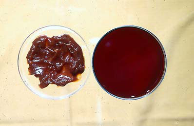 Figure 78: Date Spread Compared to Date Syrup Produced  from the same Raw Material