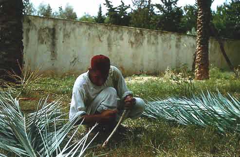 Preparing the tools