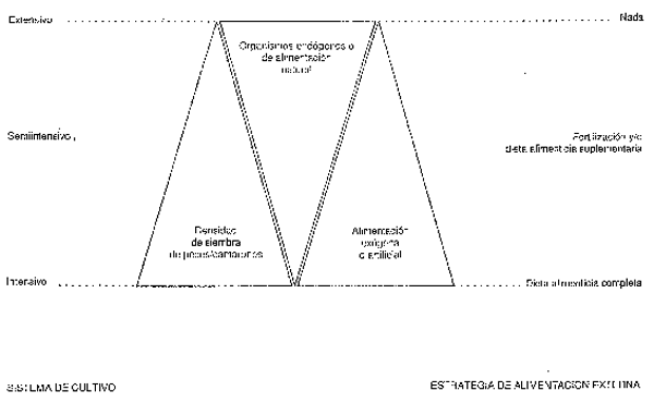 Figura 1