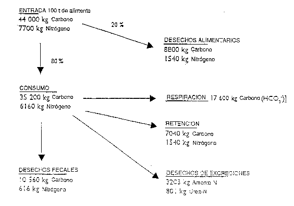 Figura 5